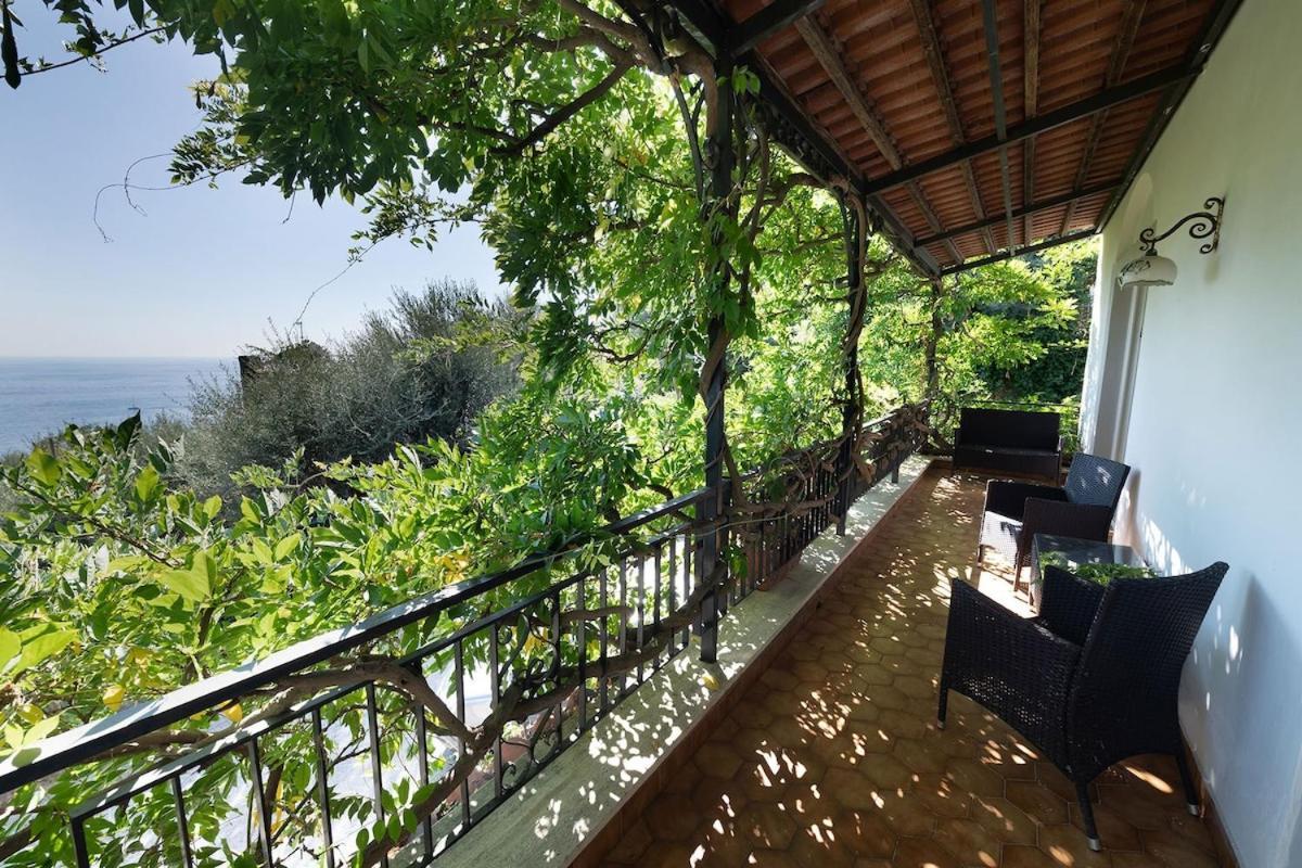 Villa Marinella Close To The Sea With Private Pool Nerano Zewnętrze zdjęcie
